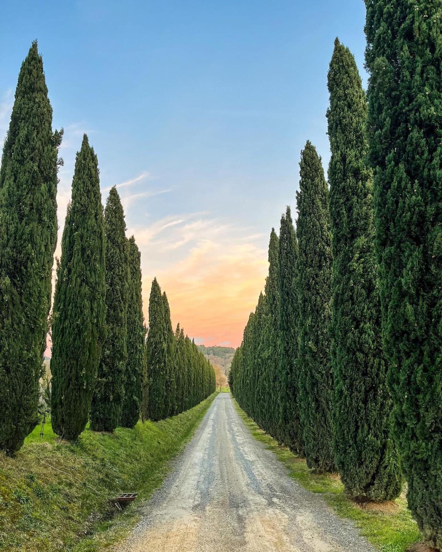 Fattoria Fibbiano Villa Terricciola Exterior photo