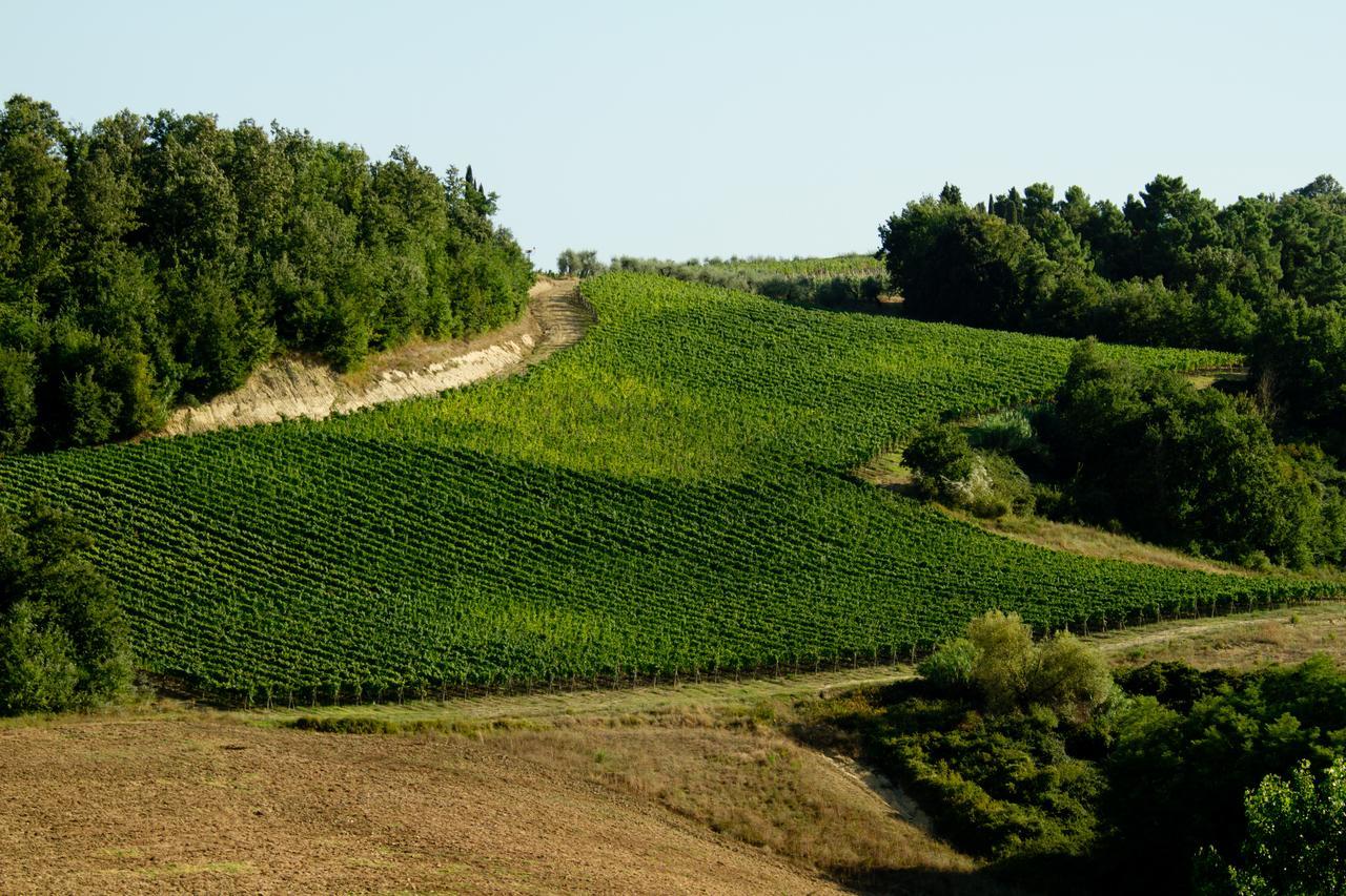 Fattoria Fibbiano Villa Terricciola Exterior photo